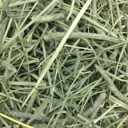 Western Timothy Hay, Guinea Pig Hay, Small Pet Bunny Supplies, All Natural Grass for Guinea Pig, Bunny, Chinchilla & Hamster,  Rabbit Supplies for Bunnies, 9 Lb Box